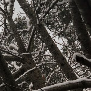 Meet your Posher, Bryant